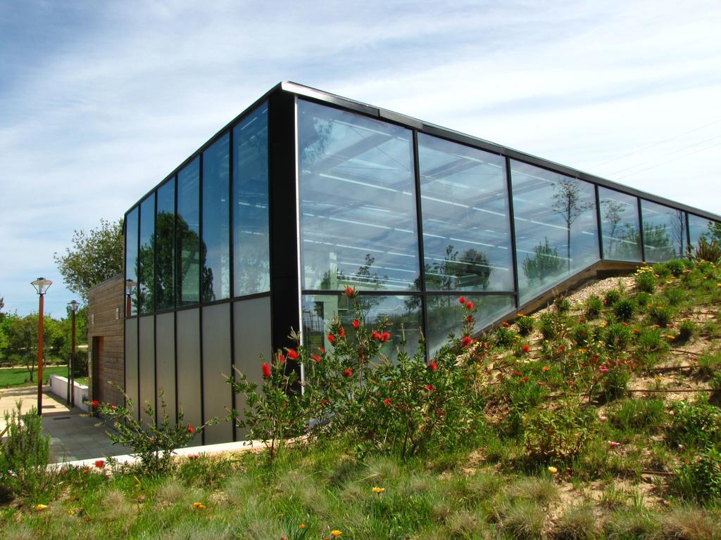Casa Da Aldeia Villa Constância Стая снимка